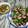 Cooksnap của Bòn Bon khi họ làm theo món Ốc luộc