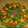 El cooksnap de Lady Marmalade cuando hizo Ensalada de lentejas con calabaza.