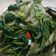 Cooksnap dari Ania Lynta Navila untuk resep Cah Kangkung Favorit