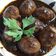 Cooksnap dari mimidini untuk resep Telur Cit Banyuwangi aLa Bundev