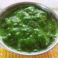 Darshana Patel's cooksnap of when they made તીખી લીલી ચટણી(tikhi lili chutny in Gujarati.