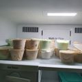 Cooksnap dari Mahdalipa untuk resep Ice Cream lembut simple rumahan (super creamy)