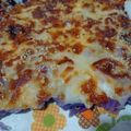 El cooksnap de Anna Bella alias Moni Argento cuando hizo Lombarda gratinada.