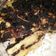 Cooksnap dari Nur QaLbi untuk resep Puding roti oreo