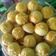 Cooksnap dari sartika dewi untuk resep Nastar Klasik keju By. Fatmah bahalwan