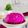 Cooksnap dari irani nara untuk resep Puding Buah naga Dan pisang