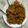 Kiran Jataniya's cooksnap of when they made હક્કા નૂડલ્સ(Hakka Noodles Recipe In Gujarati).