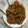 Kiran Jataniya's cooksnap of when they made હક્કા નૂડલ્સ(Hakka Noodles Recipe In Gujarati).