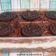 Cooksnap dari Weni Firmansyah untuk resep Desert box oreo
