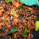 Cooksnap dari Titin untuk resep Tongkol Asap Suwir Pedas