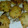 El cooksnap de Fernanda R cuando hizo Bocaditos de arroz.