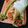 Susmita Ghosh's cooksnap of when they made এগ চিকেন রোল (Egg chicken roll recipe in Bengali).