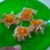 Cooksnap dari afrida Rahma untuk resep 84. Dimsum Ayam Simple