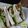 Cooksnap dari Hes Hidayat untuk resep Healthy Sandwich