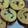 Cooksnap dari any setyowati untuk resep Pukis lembut