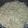 NGA.313's cooksnap of when they made Shrimp Scampi with Linguini.