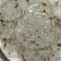 Priya Mulchandani का कुकस्नैप जब उन्होंने चावल आटा के पापड़ (chawal atta ke papad recipe in Hindi) बनाया था।