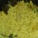 Cooksnap dari Diah Trisna untuk resep Nasi kuning ricecooker / magiccom