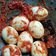Cooksnap dari Ani Vivianii untuk resep Telor balado (sambal goreng)