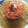 Shanthi's cooksnap of when they made ஃபலூடா ஐஸ் கிரீம்.