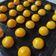 Cooksnap dari Silfi Ristania untuk resep Nastar Lembut Tintin Rayner