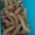 Cooksnap dari susi untuk resep Kue Akar Kelapa Renyah anti gagal