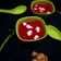 Himani Vasavada's cooksnap of when they made બીટરૂટ ટોમેટો સૂપ (Beetroot Tomato Soup Recipe In Gujarati).
