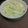 sqmalone's cooksnap of when they made Shepherd's pie.