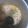 El cooksnap de /María Vergara Olea cuando hizo Champis en salsa.