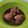Cooksnap dari Rifqiyati Akib untuk resep Ayam Kuah Kecap (Oriental)