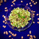 Sneha Patel's cooksnap of when they made Cucumber salad.