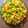 Jayshree Doshi's cooksnap of when they made ફુલાવર વટાણા બટાકા નું શાક (Cauliflower Vatana Bataka Shak Recipe In Gujarati).