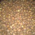 El cooksnap de Aldana V.T cuando hizo Praliné de maní.