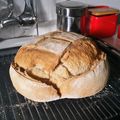 El cooksnap de Leire Arrieta cuando hizo Pan casero en horno de leña muy fácil.