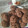 Cooksnap από KAT L στη συνταγή Τραγανά μπισκότα σοκολάτας