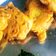 शशि केसरी का कुकस्नैप जब उन्होंने प्याज के पकौड़े विद अंडा (Pyaj ke pakore with anda recipe in hindi) बनाया था।