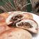 Cooksnap dari stefany untuk resep Roti Baso Sapi ala Henis