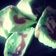 Cooksnap dari Herlina Noviani untuk resep steamed chocho pandan cake