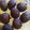 El cooksnap de Alba Garcia Galocha cuando hizo Magdalenas de plátano y cacao.