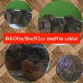 Cooksnap dari Mama Rakha untuk resep Muffin coklat