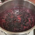 Elsa 的 自製天然桑椹果醬 cooksnap