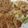 Denise Lewis's cooksnap of when they made Parmesan encrusted tilapia.