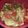Sukla Sil's cooksnap of when they made শশার স্যালাড (Soshar salad reciepe in Bengali).