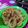 Cooksnap dari Heny Nugraheny untuk resep Onion Rings Crunchy