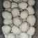 Cooksnap dari Senny Sari untuk resep 55. bakso campur sapi dan ayam