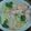 รูป Cooksnap ของ Aimee-Aiem Phusanada เมื่อเขาทำ Salmon Miso Nabe Udon