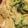 Caitlin Elizabeth's cooksnap of when they made Cheesy Penne with Broccoli.
