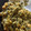 El cooksnap de Mr. Mambo Mix cuando hizo Espinacas con garbanzos a la andaluza Thermomix para 2.