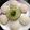Sumedha Joshi's cooksnap of when they made इडली चटण आणि सांबार (idli chutney and sambar recipe in marathi).