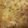 richclosson's cooksnap of when they made King Ranch Chicken Casserole.